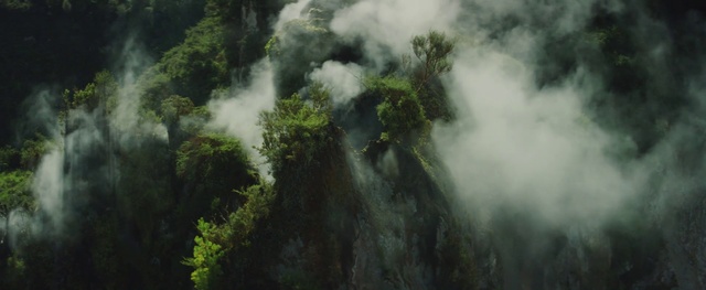 Video Reference: Cloud, Plant, Natural environment, Natural landscape, Sunlight, Body of water, Watercourse, Terrestrial plant, Grass, Landscape