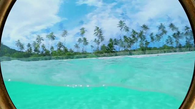 Video Reference: Water, Cloud, Sky, Green, Plant, Natural landscape, Tree, Coastal and oceanic landforms, Arecales, Aqua