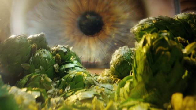 Video Reference: Plant, Leaf, Nature, Botany, Vegetation, Terrestrial plant, Grass, Food, Natural foods, Fruit