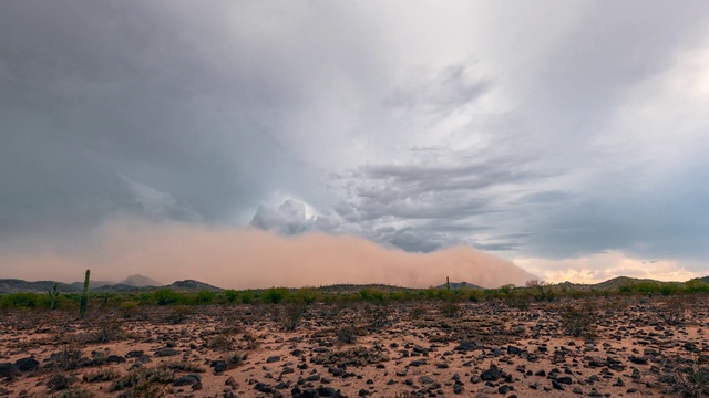 Video Reference: Cloud, Sky, Plant, Ecoregion, Natural landscape, Terrain, Tree, Mountainous landforms, Cumulus, Plain