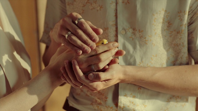 Video Reference: Plant, Dress, Nail polish, Window, Cosmetics, Gesture, Nail care, Wood, Manicure, Thumb