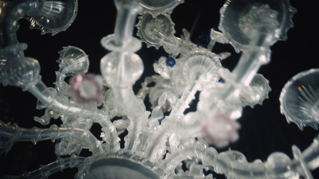 Video Reference: Organism, Water, Freezing, Petal, Plant, Marine invertebrates, Electric blue, Transparent material, Art, Close-up