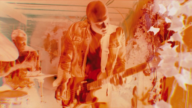 Video Reference: Microphone, Musical instrument, Guitar, Musician, Orange, Guitar accessory, String instrument, String instrument, Artist, Music