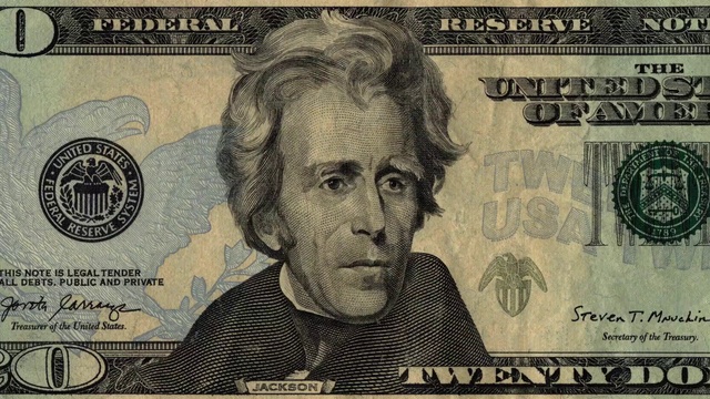 Video Reference: Head, Chin, Photograph, Banknote, Signature, Currency, Cash, Money, Dollar, Line