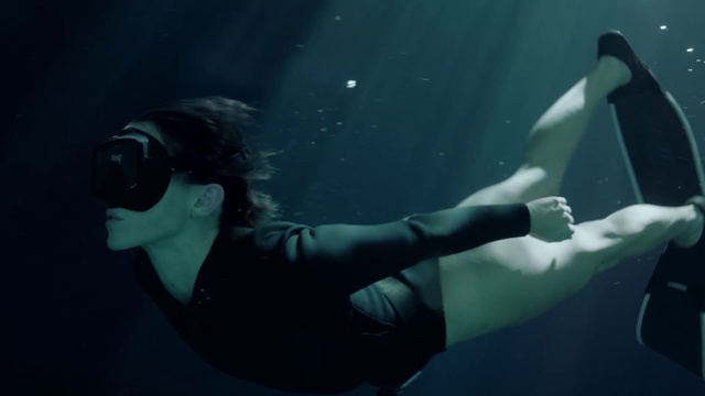 Video Reference: Water, Underwater diving, Vertebrate, Underwater, Diving equipment, Outdoor recreation, Divemaster, Recreation, Marine biology, Personal protective equipment