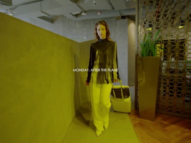 Video Reference: Outerwear, Sleeve, Textile, Organism, Fashion design, Flooring, Art, Plant, Ceiling, Event