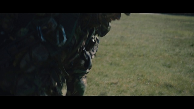 Video Reference: Helmet, Plant, Window, Dog breed, Eyewear, Grass, Personal protective equipment, Snout, Automotive tire, Darkness