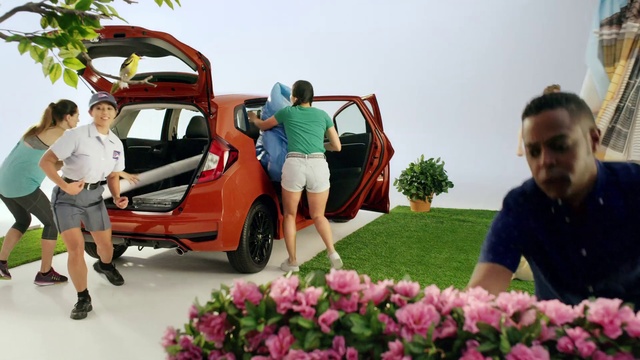 Video Reference: Tire, Flower, Plant, Car, Vehicle, Wheel, Sky, Window, Green, Motor vehicle