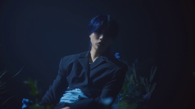 Video Reference: Plant, Flash photography, Electric blue, Space, Cg artwork, Darkness, Grass, Midnight, Sitting, Forest
