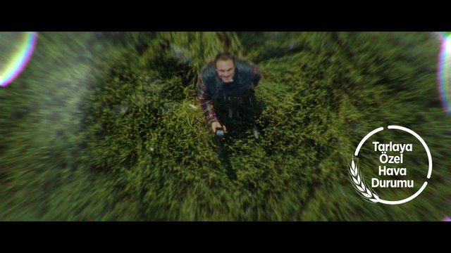 Video Reference: field, crop, farmland, person, overhead view, green vegetation, outdoors, device, weather graphic, Turkish text, aerial shot, agriculture, grass, standing, landscape