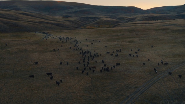 Video Reference: Sky, Mountain, Slope, Landscape, Grassland, Formation, Hill, Horizon, Prairie, Plateau