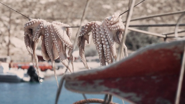 Video Reference: Water, Organism, Arthropod, Bicycle tire, Twig, Terrestrial animal, Freezing, Close-up, Decapoda, Metal