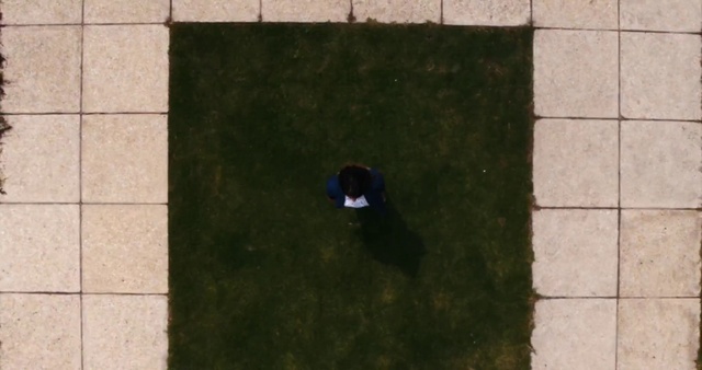 Video Reference: Water, Rectangle, Road surface, Wood, Floor, Flooring, Grass, Asphalt, Tints and shades, Tree