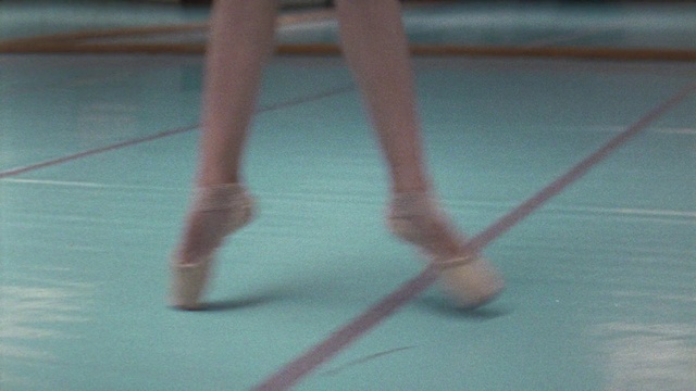 Video Reference: Sports equipment, Leg, Knee, Mammal, Flooring, Wood, Finger, Floor, Ball, Thigh