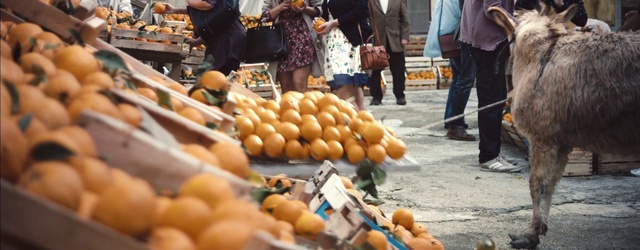 Video Reference: Food, Plant, Fruit, Orange, Natural foods, Tire, Selling, Citrus, Whole food, Public space
