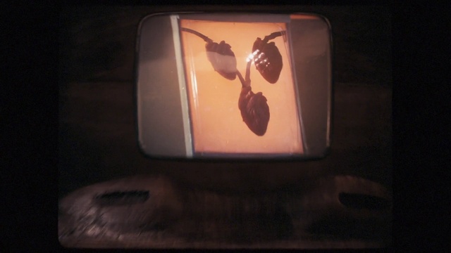 Video Reference: Drinkware, Coffee cup, Cup, Gesture, Gadget, Fruit, Granny smith, Gas, Automotive lighting, Rectangle