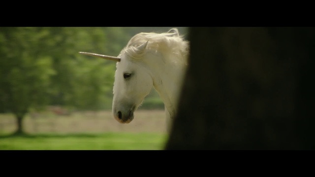 Video Reference: Horse, Plant, Eyelash, Terrestrial animal, Grass, Snout, Livestock, Grassland, Working animal, Natural landscape