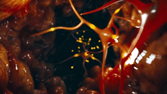 Video Reference: Organism, Terrestrial plant, Marine biology, Marine invertebrates, Underwater, Close-up, Water, Space, Electric blue, Macro photography