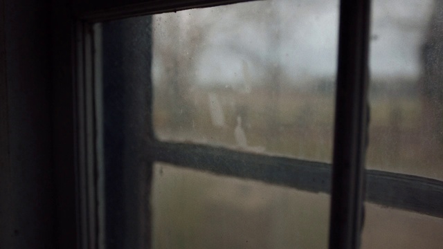 Video Reference: Window, Wood, Sky, Tree, Tints and shades, House, Automotive exterior, Cloud, Glass, Shade