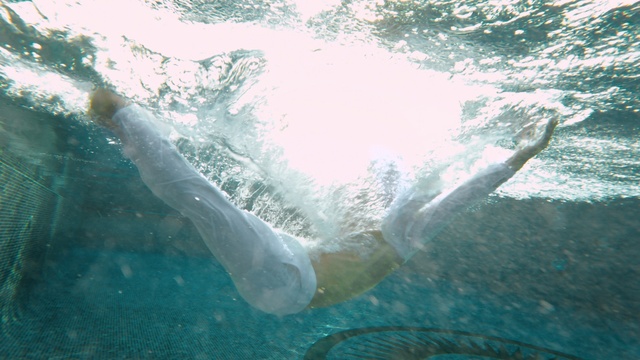 Video Reference: Water, Fluid, Liquid, Underwater, Marine biology, Wind wave, Leisure, Marine mammal, Recreation, Ocean