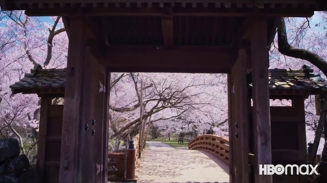 Video Reference: Plant, Daytime, Sky, Shade, Wood, Branch, Tree, Rural area, Leisure, Landscape