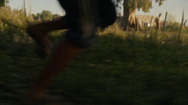 Video Reference: Plant, People in nature, Tree, Wood, Rolling, Asphalt, Grass, Tints and shades, Grassland, Landscape