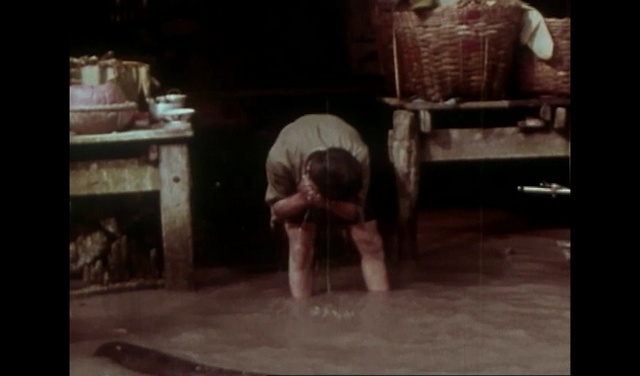 Video Reference: Wood, Room, Event, Visual arts, Vintage clothing, Art, Working animal, Monochrome, Shorts, Darkness