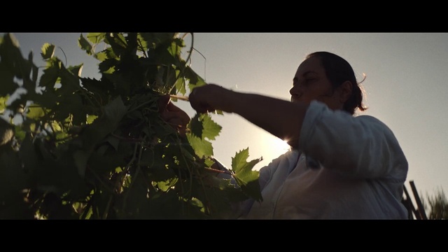 Video Reference: People in nature, Flash photography, Gesture, Sunlight, Sky, Plant, Happy, Adaptation, Grass, Tints and shades
