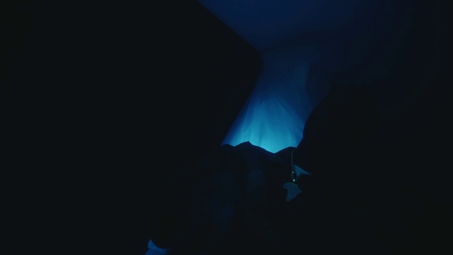 Video Reference: Blue, Water, Electric blue, Midnight, Event, Darkness, Automotive lighting, Room, Sky, Tree