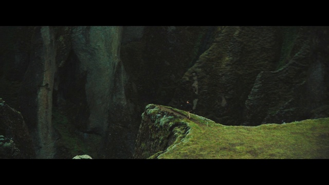 Video Reference: Natural landscape, Terrestrial plant, Wood, Trunk, Landscape, Grass, Formation, Darkness, Forest, Geology