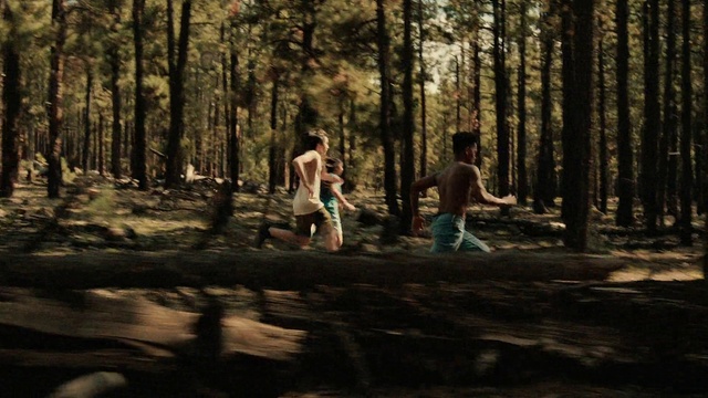 Video Reference: Plant, People in nature, Branch, Wood, Tree, Natural landscape, Trunk, Grass, Adaptation, Landscape