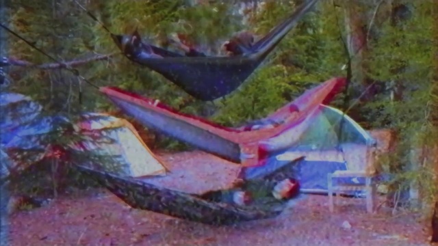 Video Reference: Plant, Paint, Mode of transport, Motor vehicle, Art, Wood, Tints and shades, Vehicle, Tree, Electric blue