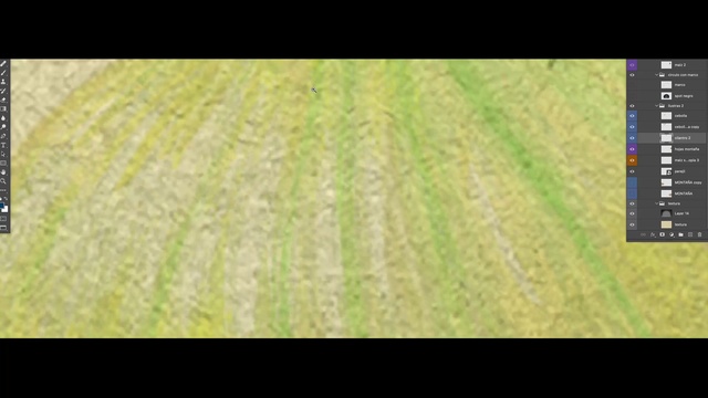 Video Reference: Plant, Tree, Terrestrial plant, Grass, Wood, Plain, Grassland, Font, Landscape, Meadow