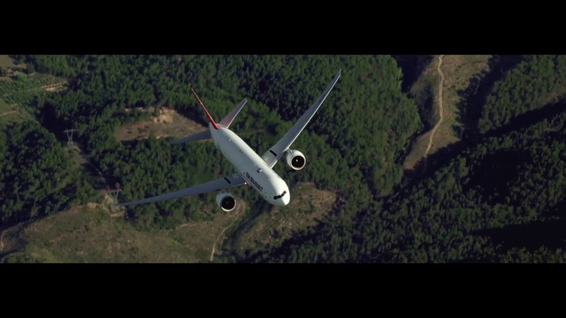 Video Reference: Aircraft, Airplane, Vehicle, Aerospace manufacturer, Plant, Flap, Aviation, Monoplane, Airliner, Terrestrial plant