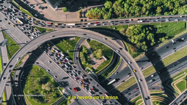 Video Reference: Car, Plant, Motor vehicle, Road surface, Nature, Infrastructure, Asphalt, Vehicle, Tree, Mode of transport