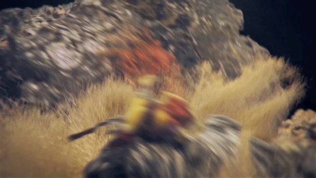 Video Reference: Horse, Working animal, Grass, Horse tack, Landscape, Horse supplies, Recreation, Pack animal, Wood, Rein