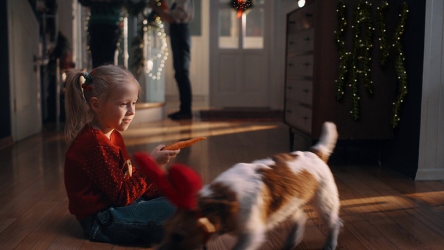 Video Reference: Dog, Light, Lighting, Felidae, Dog breed, Fawn, Carnivore, Companion dog, Flooring, Whiskers