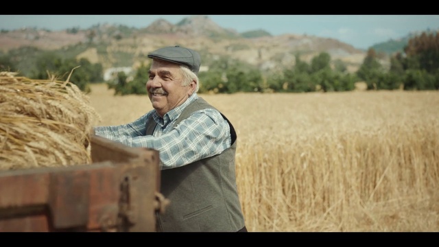 Video Reference: Shirt, Sky, People in nature, Hat, Happy, Plant, Farmer, Agriculture, Flash photography, Grass
