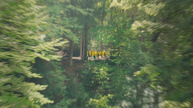 Video Reference: Plant, Natural landscape, People in nature, Wood, Larch, Terrestrial plant, Evergreen, Tree, Trunk, Landscape