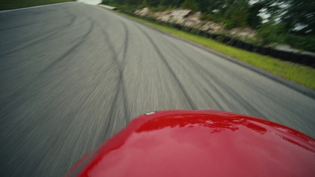 Video Reference: Hood, Automotive tire, Plant, Road surface, Automotive design, Asphalt, Tree, Motor vehicle, Vehicle, Grass