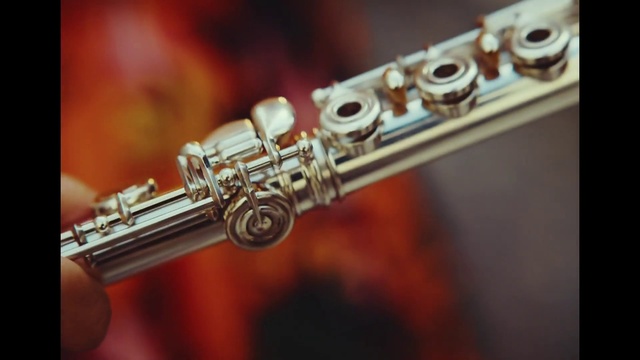 Video Reference: Musical instrument, Reed instrument, Wind instrument, Music, Woodwind instrument, Musical instrument accessory, String instrument accessory, Western concert flute, Brass instrument, Metal