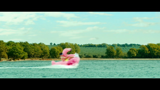 Video Reference: Water, Sky, Cloud, Water resources, Boat, People in nature, Watercraft, Natural landscape, Tree, Lake