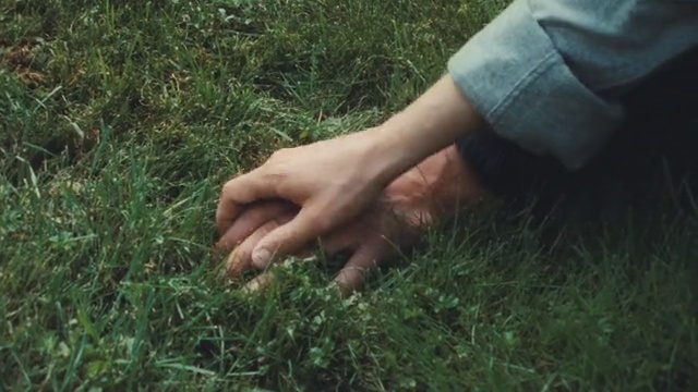 Video Reference: Leg, People in nature, Plant, Gesture, Finger, Grass, Thumb, Terrestrial plant, Groundcover, Wrist