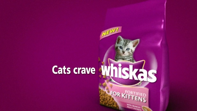 Video Reference: Food, Felidae, Carnivore, Cat supply, Pet supply, Purple, Cat, Small to medium-sized cats, Whiskers, Cat food
