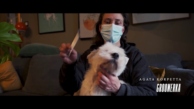 Video Reference: Dog, Ear, Carnivore, Gesture, Picture frame, Companion dog, Dog breed, Comfort, Toy dog, Small terrier