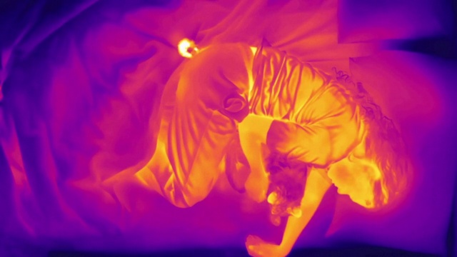 Video Reference: Water, Plant, Orange, Purple, Entertainment, Petal, Heat, Performing arts, Gas, Electric blue