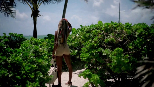 Video Reference: Cloud, Sky, Plant community, Plant, Botany, Terrestrial plant, Arecales, People in nature, Shrub, Tree