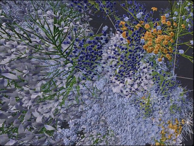 Video Reference: flowers, floral, blossoms, garden, close-up, blue flowers, white flowers, orange flowers, plants, green stems, botanical, nature, abstract, dense, cluster, dark background