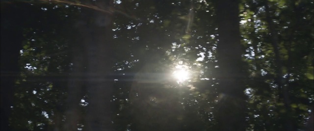 Video Reference: Water, Astronomical object, Woody plant, Midnight, Lens flare, Tints and shades, Space, Forest, Natural landscape, Event