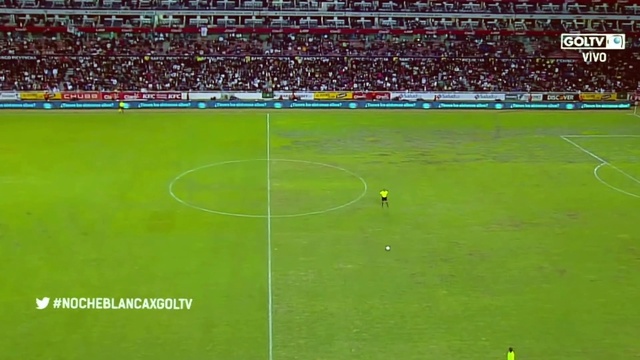 Video Reference: Soccer, Grass, Player, Football player, Flooring, Competition event, Tournament, Leisure, Sports, Arena